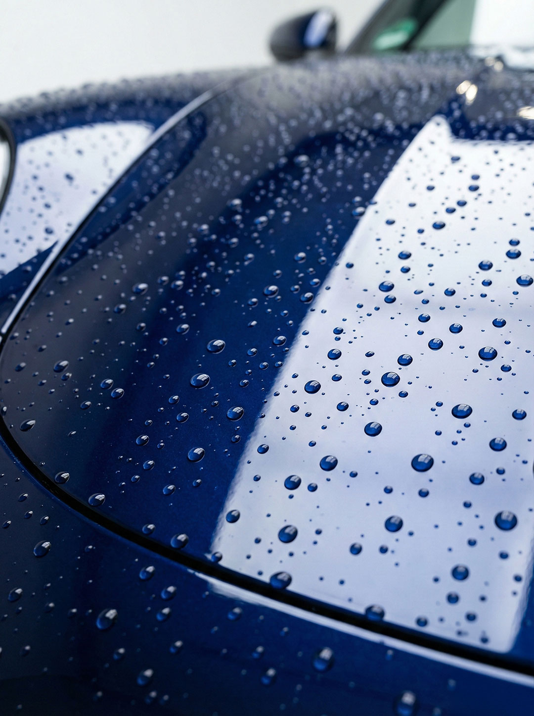 Steinschlagschutz-Folie-1 Steinschlagschutz-Folie-1